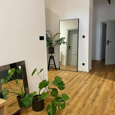 Old Town - Stefanikova קושיצה