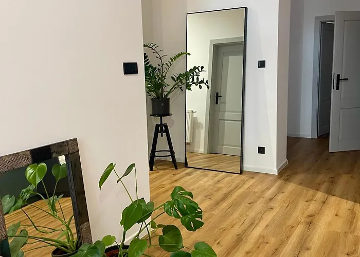 Old Town - Stefanikova Košice